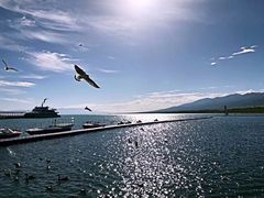 -青海湖国家重点风景名胜区售票处