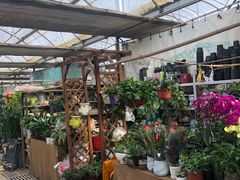 -秦美花卉(天朗·莱茵小城2期店)