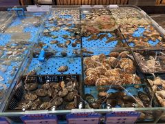 -大连湾旭日·家宴·海肠捞饭(马栏广场店)