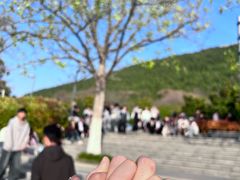 -云龙山