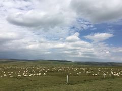 -青海湖国家重点风景名胜区