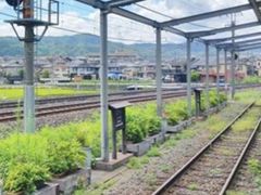 -岚山嵯峨野观光小火车