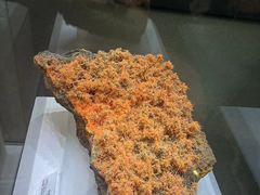 -湖南省地质博物馆