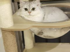 -博特宠物医院24h犬猫全科.骨科·异宠
