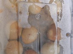 -老王豆皮