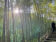 -千泷沟大瀑布旅游区