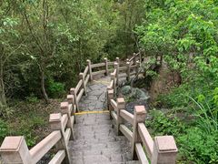 -蛇蟠岛