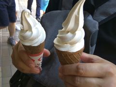 -富豪雪糕车流动点(尖沙咀店)