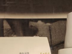 大堂-凡人&庄阿姨的辣(万寿亭店)