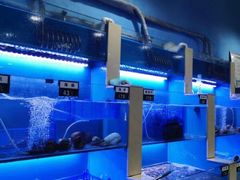 水产区-老虎滩大连海鲜烧烤(建邺云锦路总店)