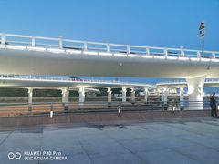 -演武大桥观景平台