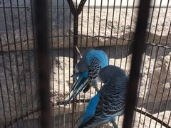 -老味道民宿(栈桥店)