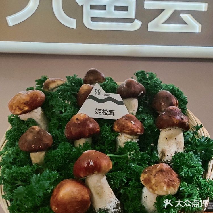 今天是一把养生局,菌汤怎么能这么好喝‼️