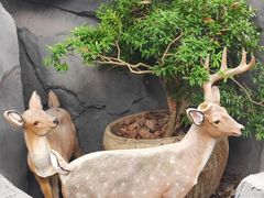 -南汇桃花村