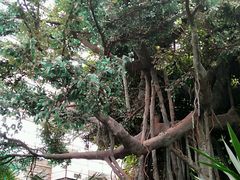 -龙达温泉生态城