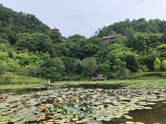 -神光山国家森林公园