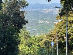 -黄埔油麻山森林公园
