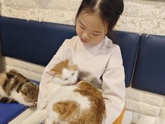 -平行世界·猫咖(首经贸店)