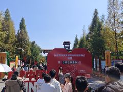 -泗洪洪泽湖湿地景区