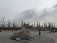 -永定河休闲森林公园