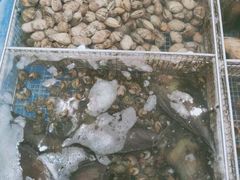 -抹直口特色菜馆(一店)