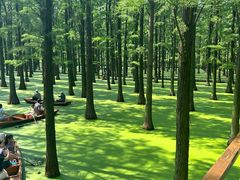 -渌洋湖湿地公园