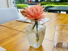 -JANS意式简餐厅·惠灵顿牛排