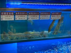 -協成海鮮火鍋(老店)