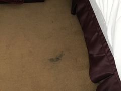 -世纪缘湖滨花园酒店(玄武湖店)