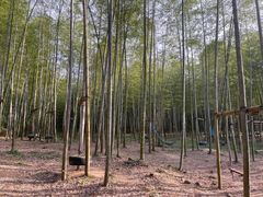 -陶祖圣境风景区