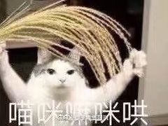 -哈根达斯(朝阳大悦城店)