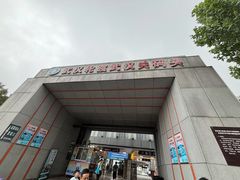 -武汉关码头(轮渡站)