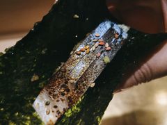 -荣一代目OMAKASE板前料理