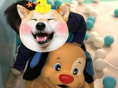 -布鲁豪斯亲子欢乐家庭餐厅