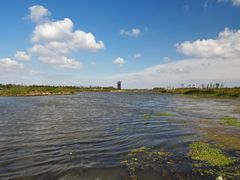 -春花秋色城市公园