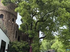 -J Create城市露营咖啡·简餐·宠物(上海动物园店)