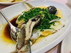 -东方御宴海鲜酒楼(棕泉酒店)