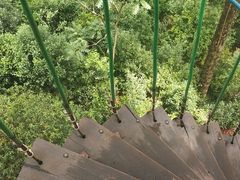 -清迈丛林飞跃 JungleFlight