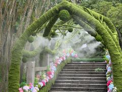 -东南花都花博园