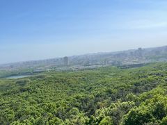 -紫金山山顶公园