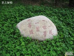 -法门文化景区