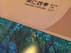 -同仁四季椰子鸡(罗湖国贸店)