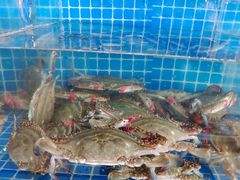 -宾朋海鲜饭庄(兴海路店)