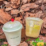 🧃秋冬饮品大推荐｜比星的开心果[咖啡]