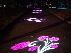 -天适樱花悠乐园