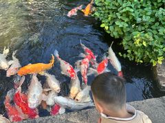 -聚福宝合苑食府(南头镇店)