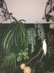 -逸丝风尚
