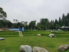 -成飞公园