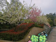 -南山植物园