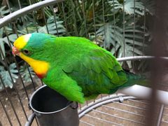 -南宫五洲植物乐园